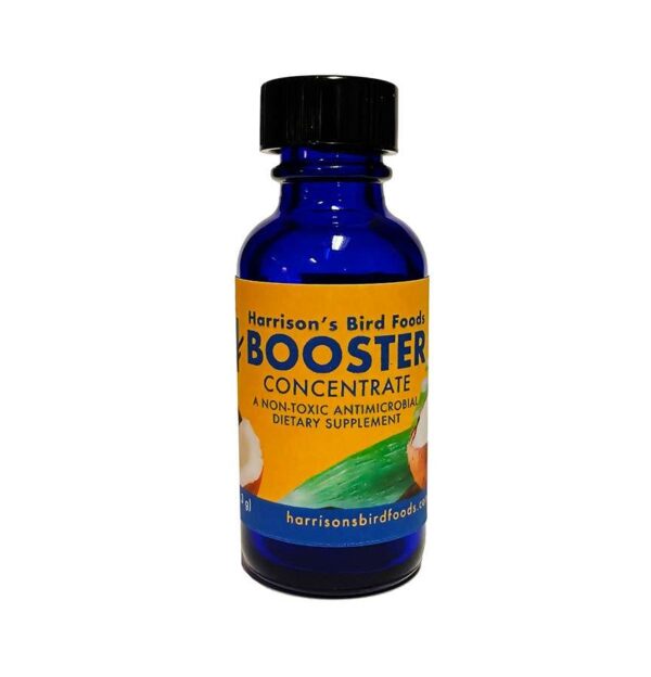 Booster Concentrate