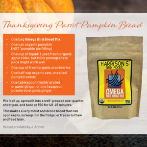 Parrot Pumpkin Bread Recipe